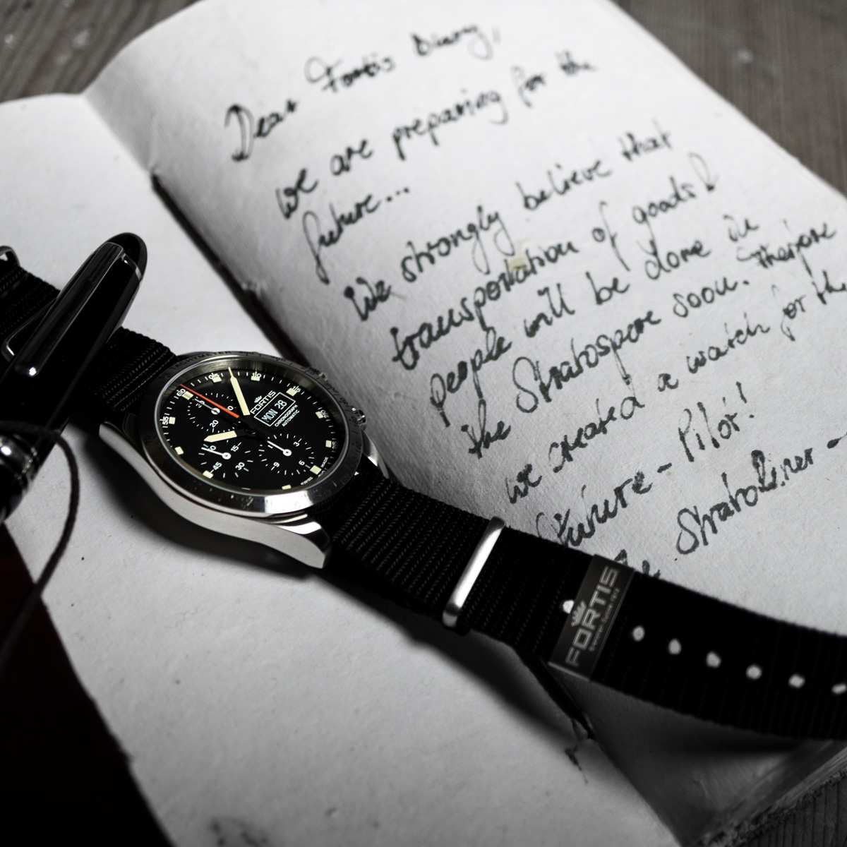 ストラトライナー スチール p.m.