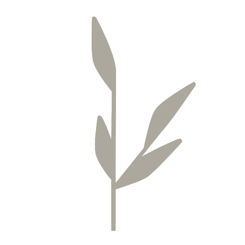 ミッションロゴ